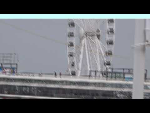 the beach  hague netherland