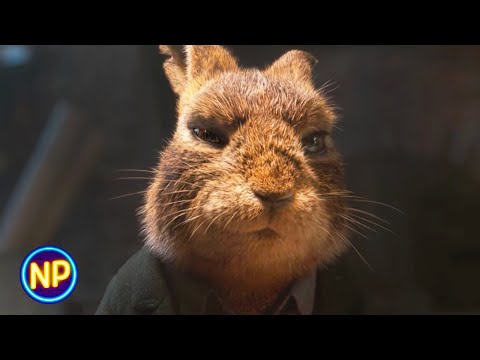 Farmer's Market Heist Plan | Peter Rabbit 2: The Runaway (2021)