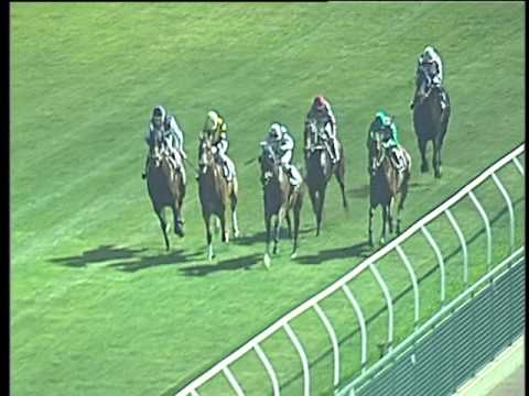 Galoppo 02/08/2017 - 5ª corsa