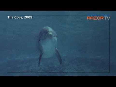 Dolphin activist wants RWS to admit mistake (Dolphins in captivity Pt 4)