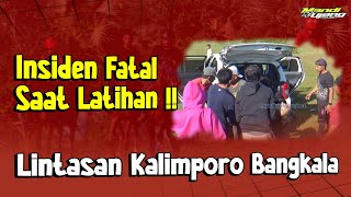 Download lagu WADUH‼️TERJADI INSIDEN SAMPAI JOKI PATAH SAAT LATIHAN DI LINTASAN KALIMPORO JENEPONTO | HORSE RACING mp3