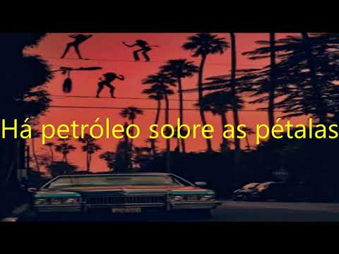 Milliards de rose - L.E.J, Youssoupha Legendado/Tradução  (Música Francesa)