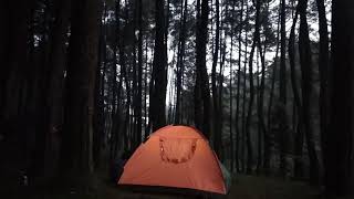 preview picture of video 'keindahan hutan pinus kaki gunung salak'