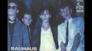 bauhaus nerves subtitulada