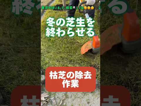 春に芝生を怖がらせるときに損傷を避けるために何をすべきか、あるいはすべきでないか？  庭園