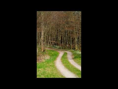 Marshall Brothers Music - Road Goes on