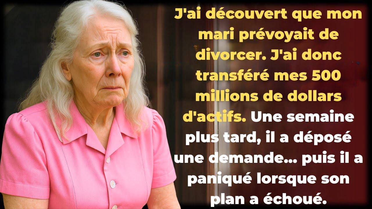 Mon mari a planifié un divorce, alors j'ai déplacé ma fortune de 500 millions de dollars, puis...
