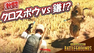 【4人実況】激アツ！？クロスボウオンリーモードがカオスすぎたwww【PUBG】