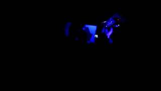 Fidel Nadal y Jah favio - Picadura de avispa - camping 2011