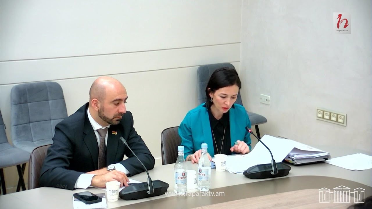 #Ուղիղ. ԱԺ ԳԿՄՍԵՍ հարցերի մշտական հանձնաժողովի արտահերթ նիստ