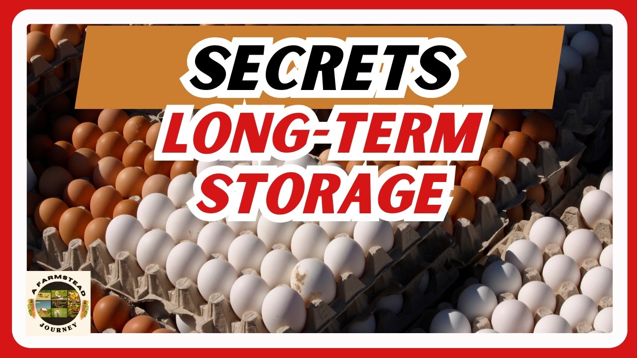 Learn These Surprising Long-Term Egg Storage Tips!