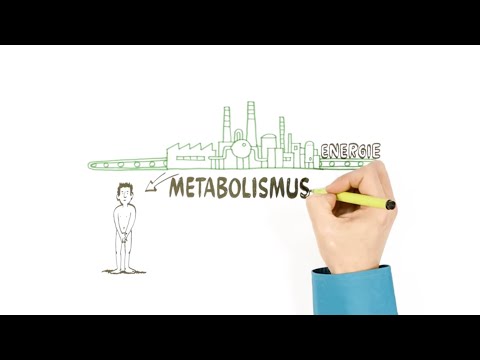 , title : 'Metabolismus – o přeměně látek – NEZkreslená věda III'