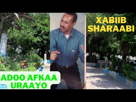 ADOO AFKAA URAAYAAD XABIIB SHARAABI