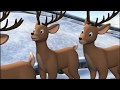 Rudolph The Red Nosed Reindeer And The Island Of Misfit Toys 2001 Widescreen