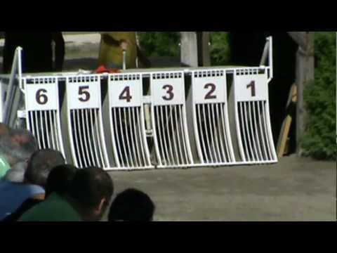 Czech Derby Final 2012 - Dopping Hutch