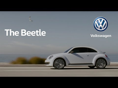 The Beetle