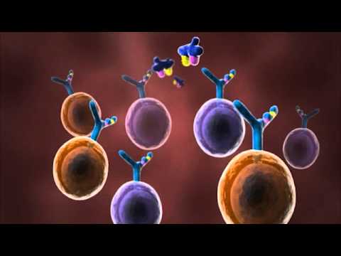 Abzyme Research Foundation's HIV E-Vaccine animated.