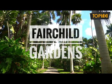 FAIRCHILD BOTANICAL GARDENS, MIAMI -