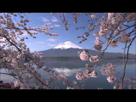 （山梨県公式映像）富士山世界遺産構成資産巡りー富士五湖編ー