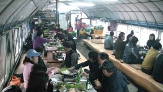 preview picture of video '청도 한영농장에서 한재 미나리를 ...(2010.3.6 토)'