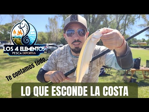 ENCONTRAMOS LOS GIGANTES PLATEADOS ESCONDIDOS  EN LA COSTA DE LA LAGUNA#pescadecosta #pesca  