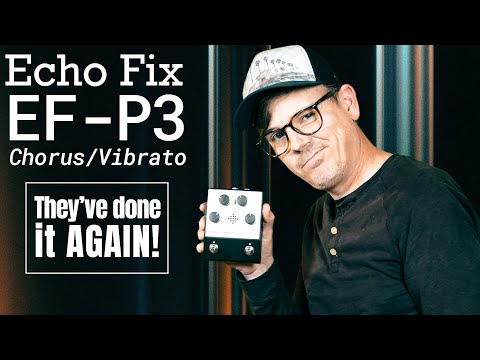 NEW!!! Echo Fix EF-P3 Chorus Vibrato image 2