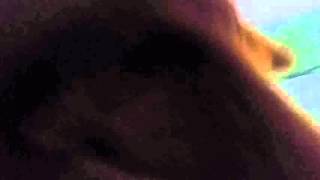 2016年3月16日撮影？ジャック愛犬の動画