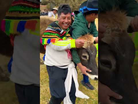 Herranza Pucaccacca -Anta-Acobamba _ Huancavelica . FAMILIA  RAMOS .