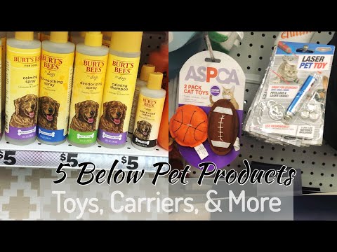 YouTube video about: Does five below allow dogs?