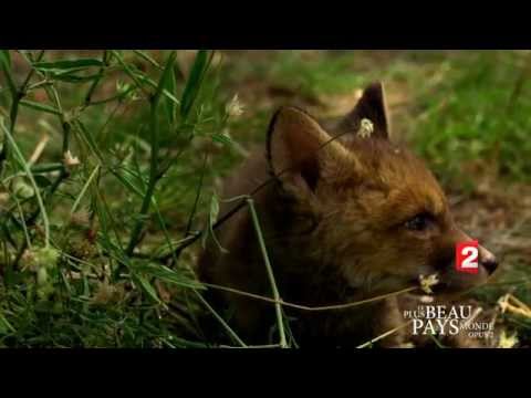 Le Plus Beau Pays du Monde Opus 2 - Teaser