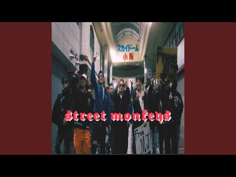 street monkeys (2024)