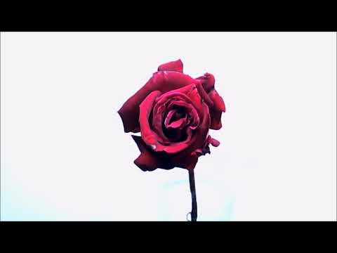 Chichilcitlalli - Reflections On Death