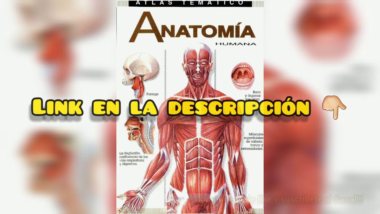 Libros de Atlas Temático de Anatomía Humana y Animal - Descargar | PDF | Todos los libros