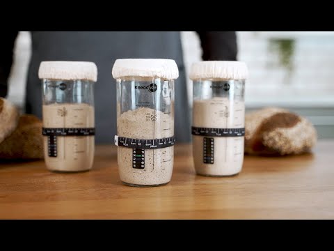 KneadAce® Sourdough Starter Guide