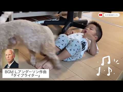 こども学科 【成長記録】ハチとの格闘