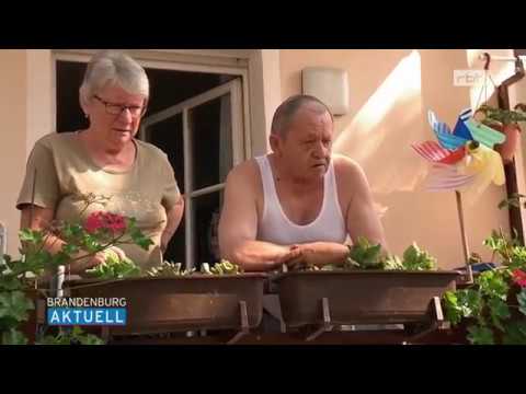 Feuer in Mehrfamilienhaus in Spremberg