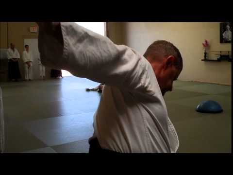 Aikido Seminar: Soft Fall Ukemi with Victor Hung Sensei