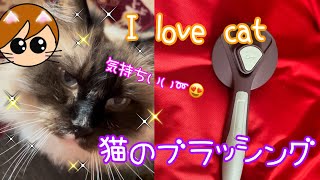 I love cat  ブラッシングが痛くない！ペットに優しいブラシです😸