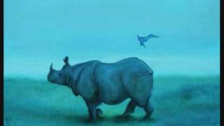 Jaime sin tierra - Rinoceronte