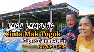 Download lagu Lagu Lampung  Cinta Mak Togok  || Zainal Arifin || Cover Irb #lagulampung #lagulampungterbaik  mp3