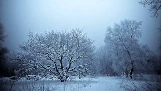 Killing Joke-Winter Gardens 1986 (Atmosferični Goth Rock)