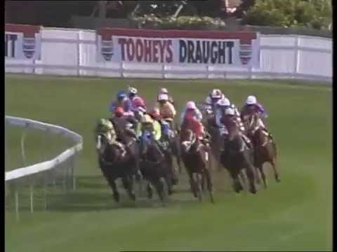 1993 AJC Derby _ Innocent King