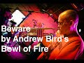 Live Trumpet Improv on 'Beware' by Andrew Bird's Bowl of Fire