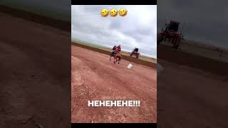 Big fails 😅🤣😁 #shortsfails #shortvideo #failsvideo