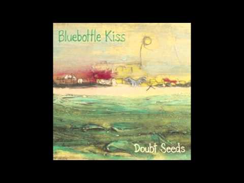 Bluebottle Kiss - 