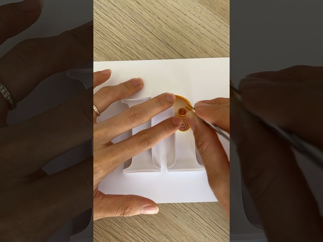 Vídeo relacionado con Natural History: Papercraft Book. Lettering Writing Set (Geen)