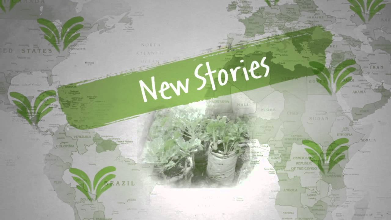 Catalysts for Change: play the game - be a catalyst for change!