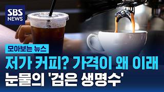 저가 커피? 가격이 왜 이래…눈물의 '검은 생명수' / SBS / 모아보는 뉴스