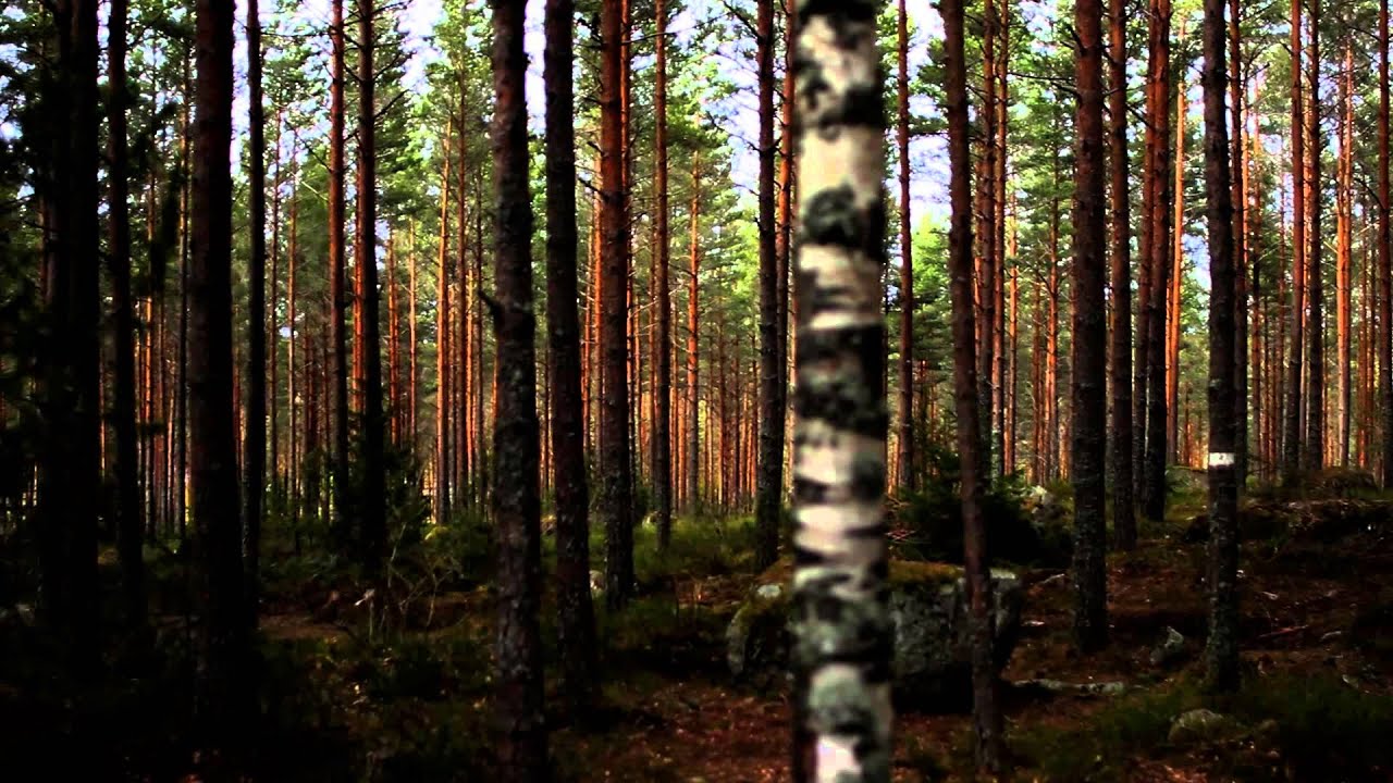 Wicca - Official Teaser (2014) [HQ]