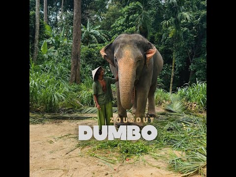 Zouzout - Dumbo